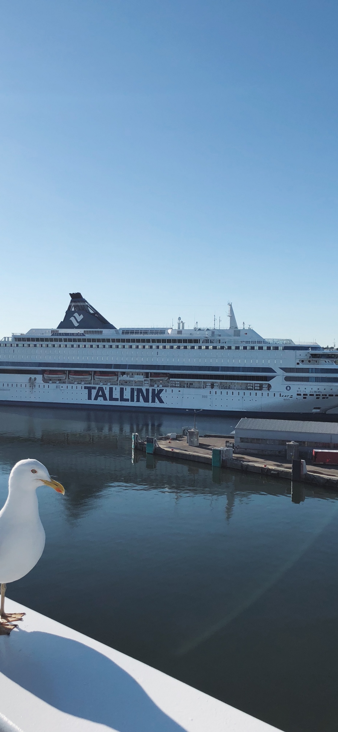 Eau, Ferry, Navire à Moteur, Yacht, Navire. Wallpaper in 1125x2436 Resolution