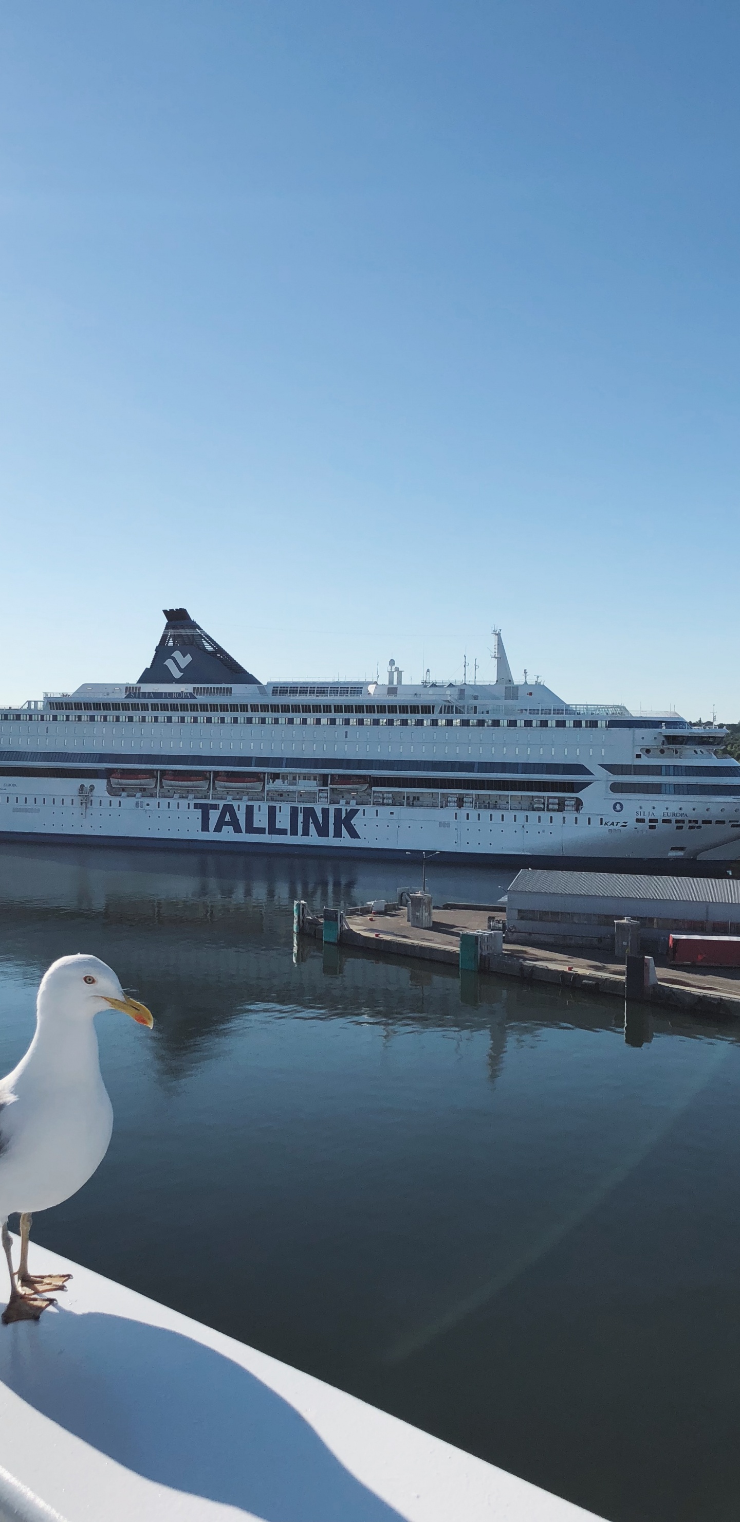 Water, Cruise Ship, Ferry, Motor Ship, Yacht. Wallpaper in 1440x2960 Resolution