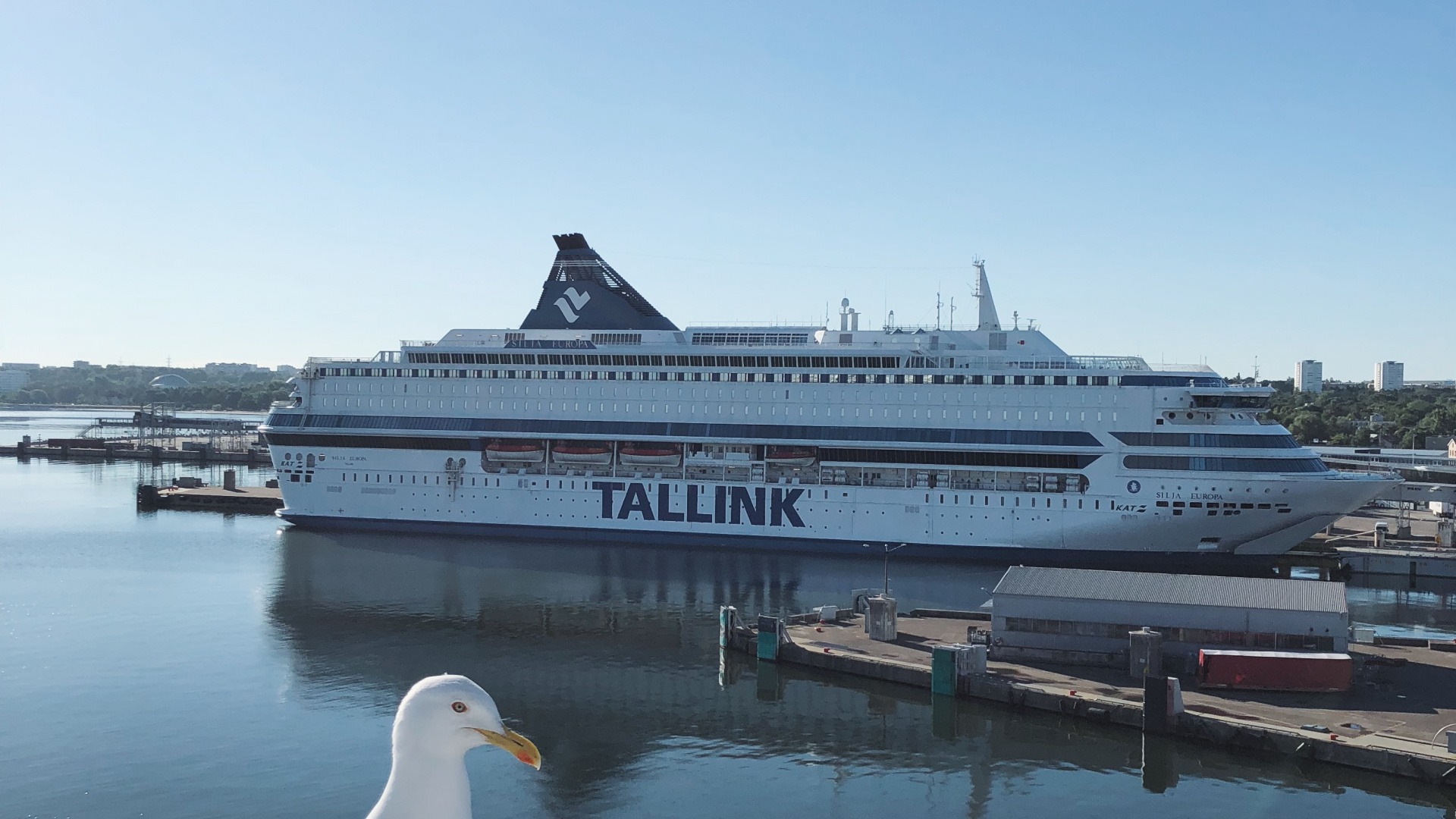 Water, Cruise Ship, Ferry, Motor Ship, Yacht. Wallpaper in 1920x1080 Resolution