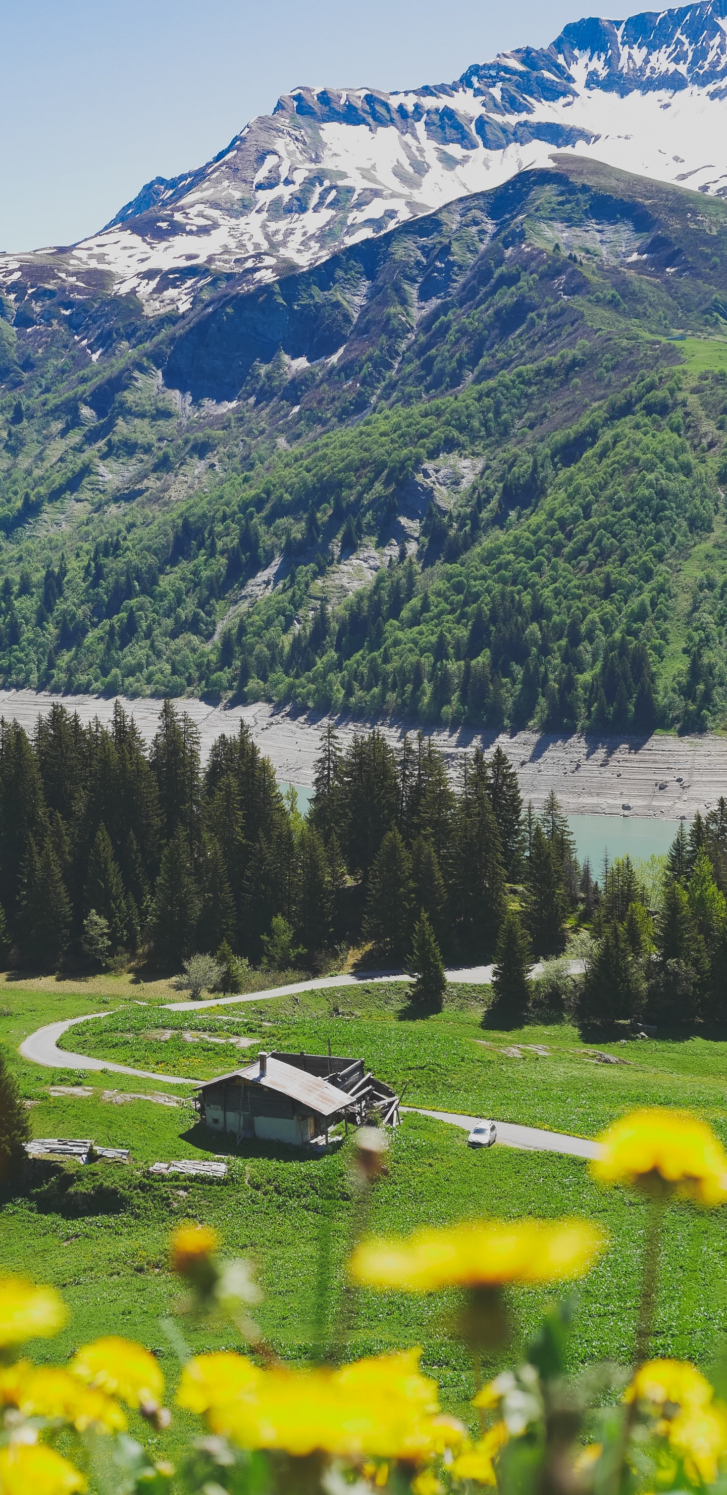 Árboles Verdes Cerca Del Lago y Las Montañas Durante el Día. Wallpaper in 1440x2960 Resolution