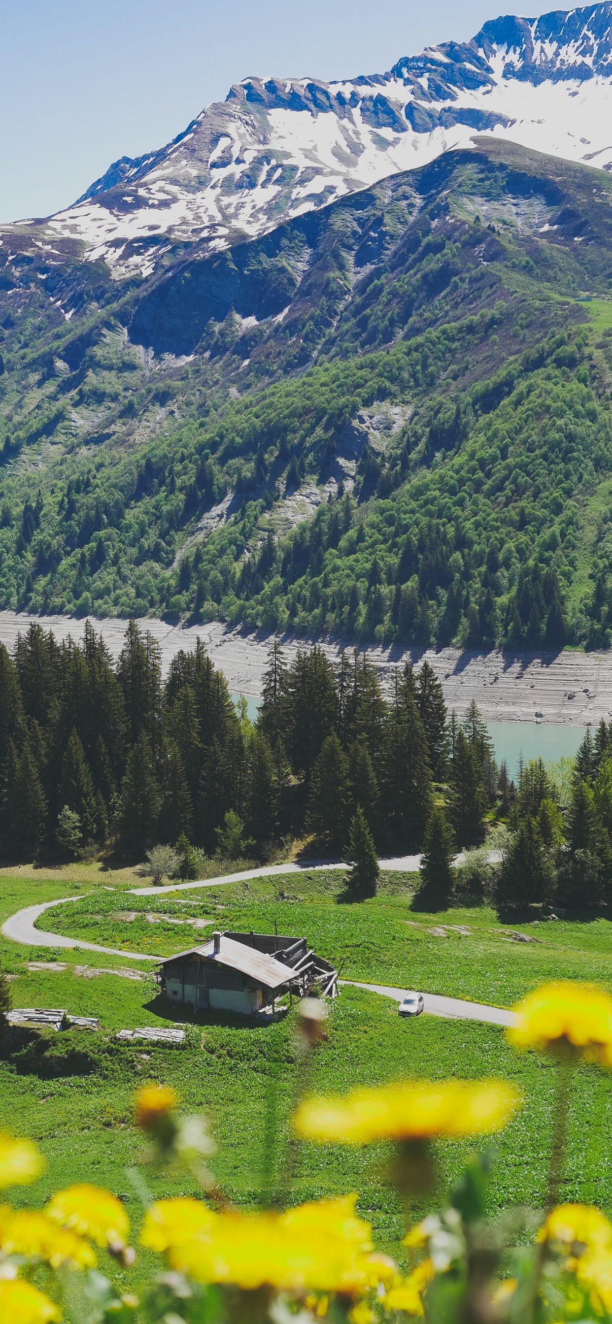 Green Trees Near Lake and Mountains During Daytime. Wallpaper in 1242x2688 Resolution