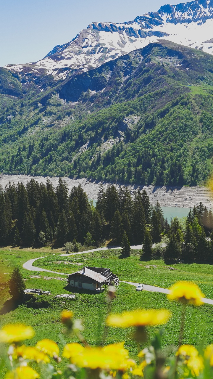Green Trees Near Lake and Mountains During Daytime. Wallpaper in 720x1280 Resolution
