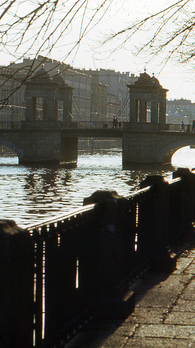Brown Wooden Bridge Over River. Wallpaper in 750x1334 Resolution