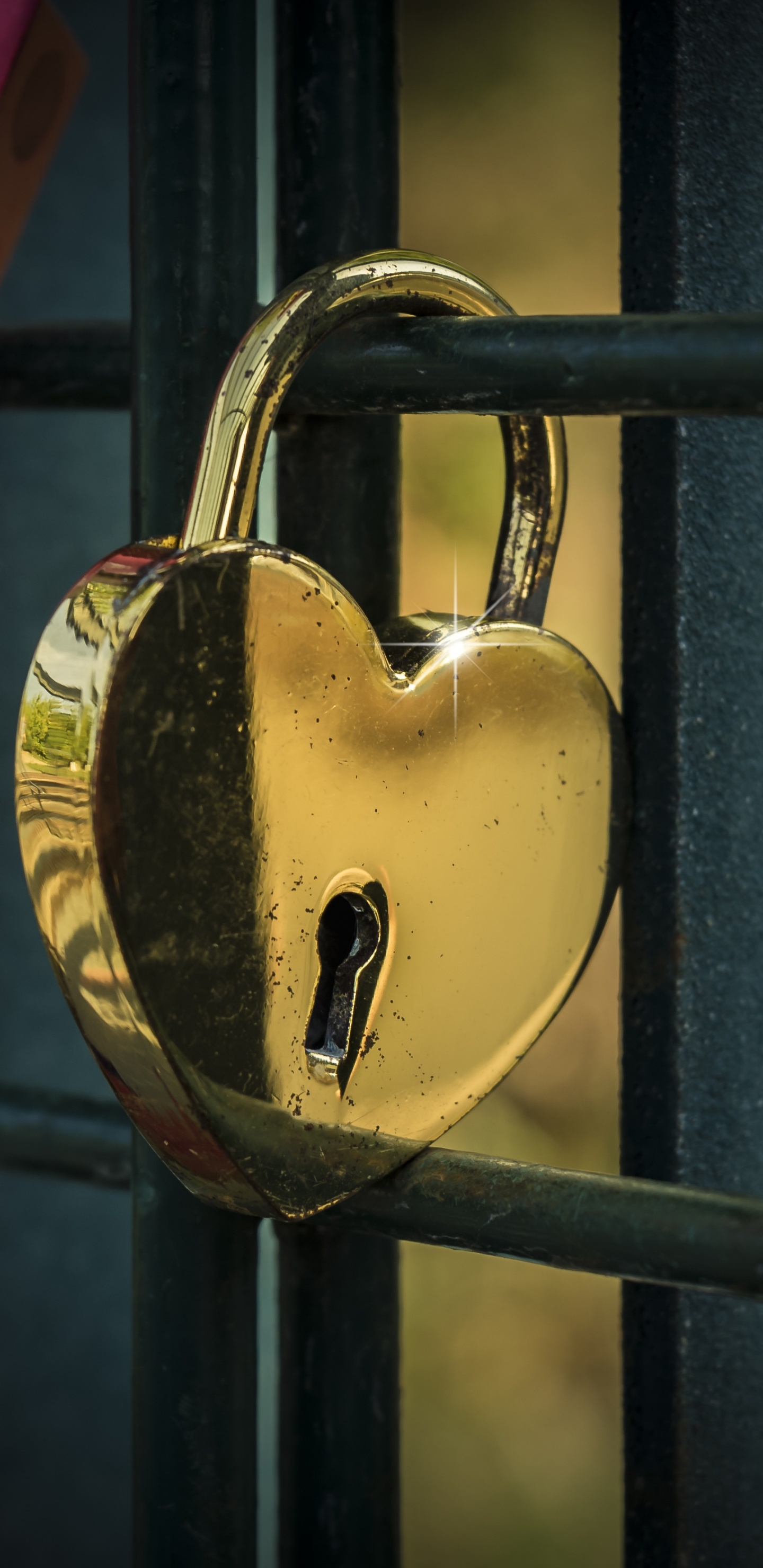 Candado, Bloqueo, Amor, Amarillo, Rosa. Wallpaper in 1440x2960 Resolution