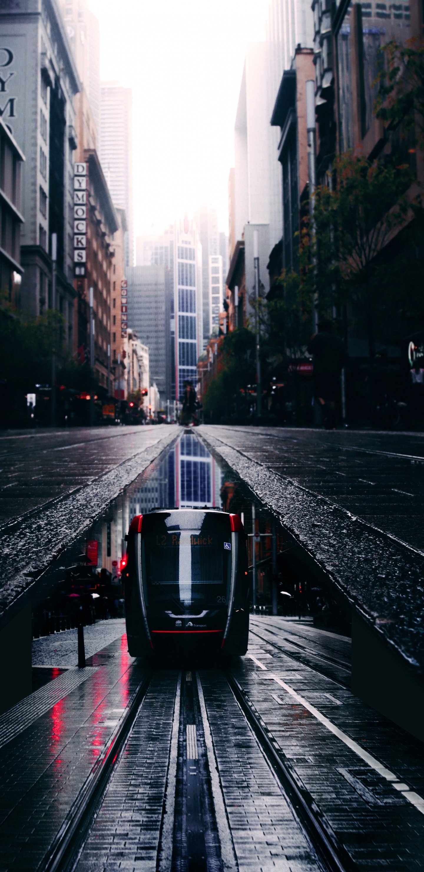 Pista, Tren, Edificio, Iluminación Automotriz, Infraestructura. Wallpaper in 1440x2960 Resolution