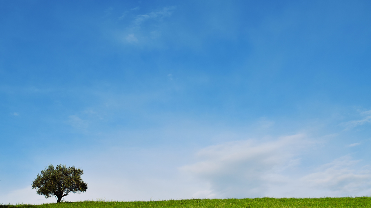 Blue, Ciel, la Journée, Green, Prairie. Wallpaper in 1280x720 Resolution