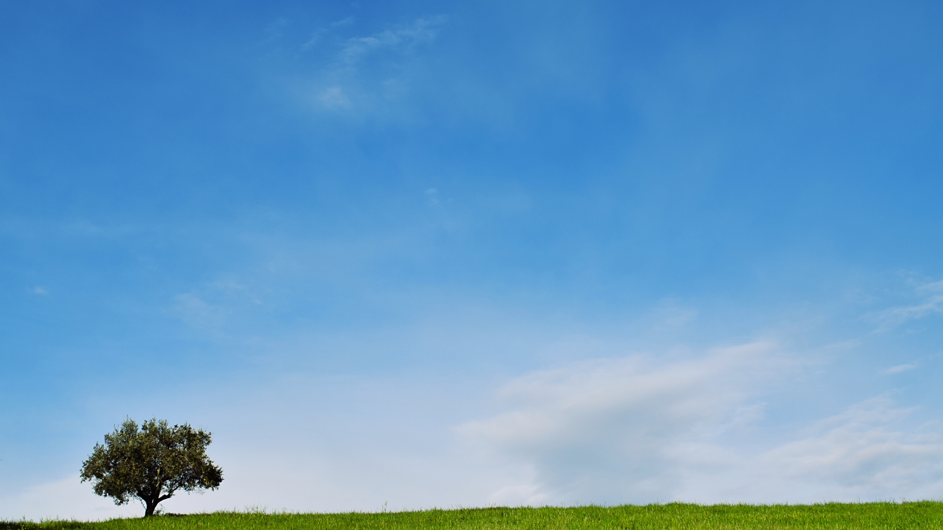 Blue, Ciel, la Journée, Green, Prairie. Wallpaper in 1920x1080 Resolution