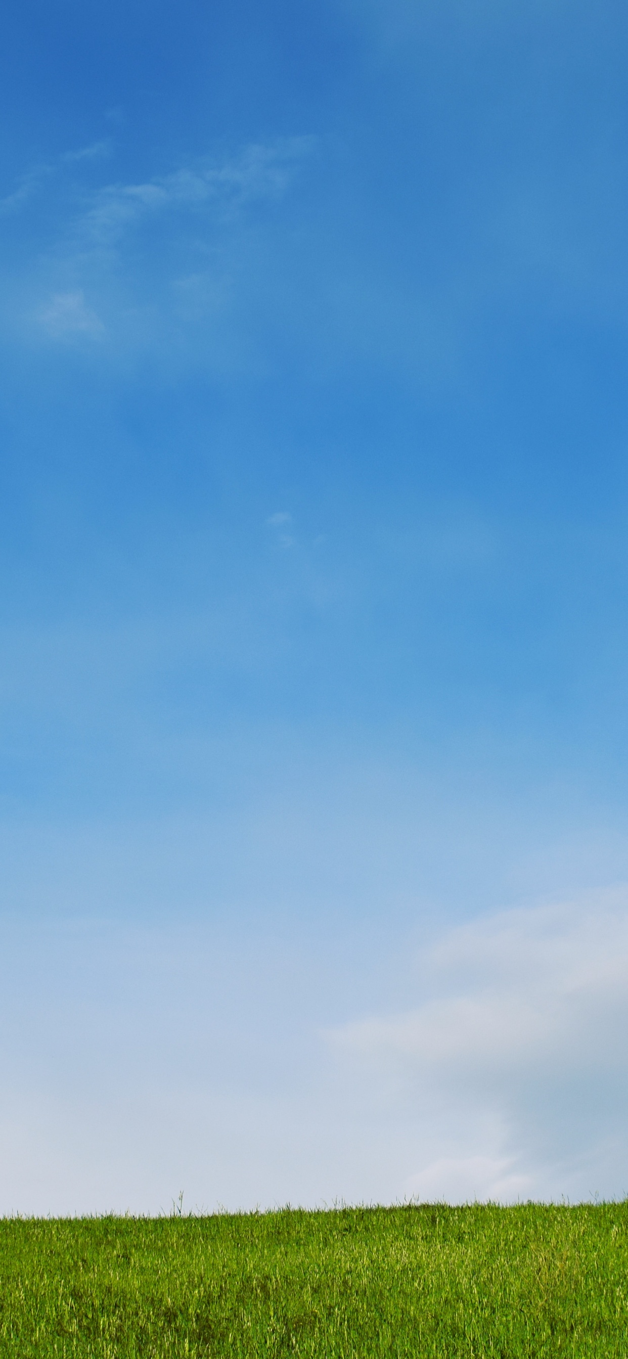 天空, 绿色的, 自然景观, 草原, 性质 壁纸 1242x2688 允许