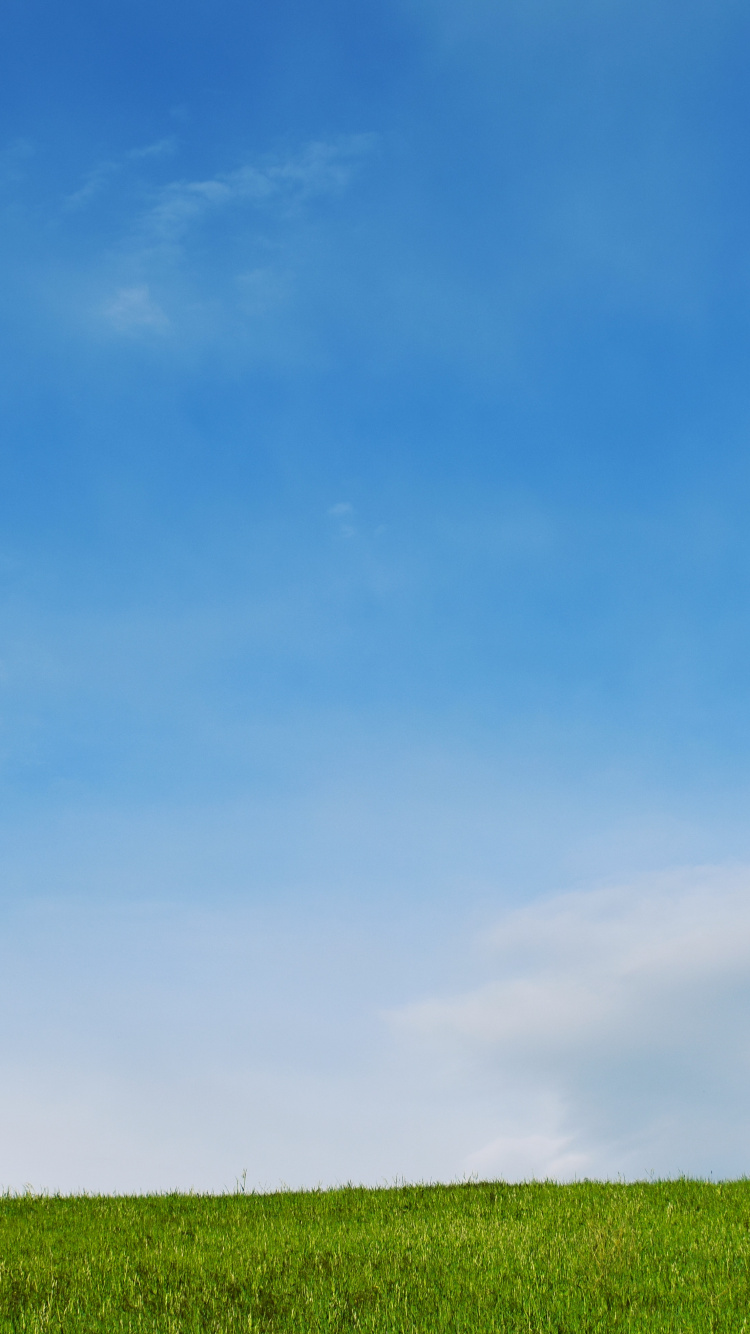 天空, 绿色的, 自然景观, 草原, 性质 壁纸 750x1334 允许