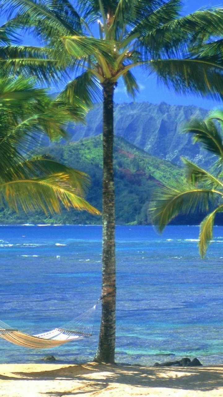 Weißes Und Braunes Boot am Strand Tagsüber On. Wallpaper in 720x1280 Resolution