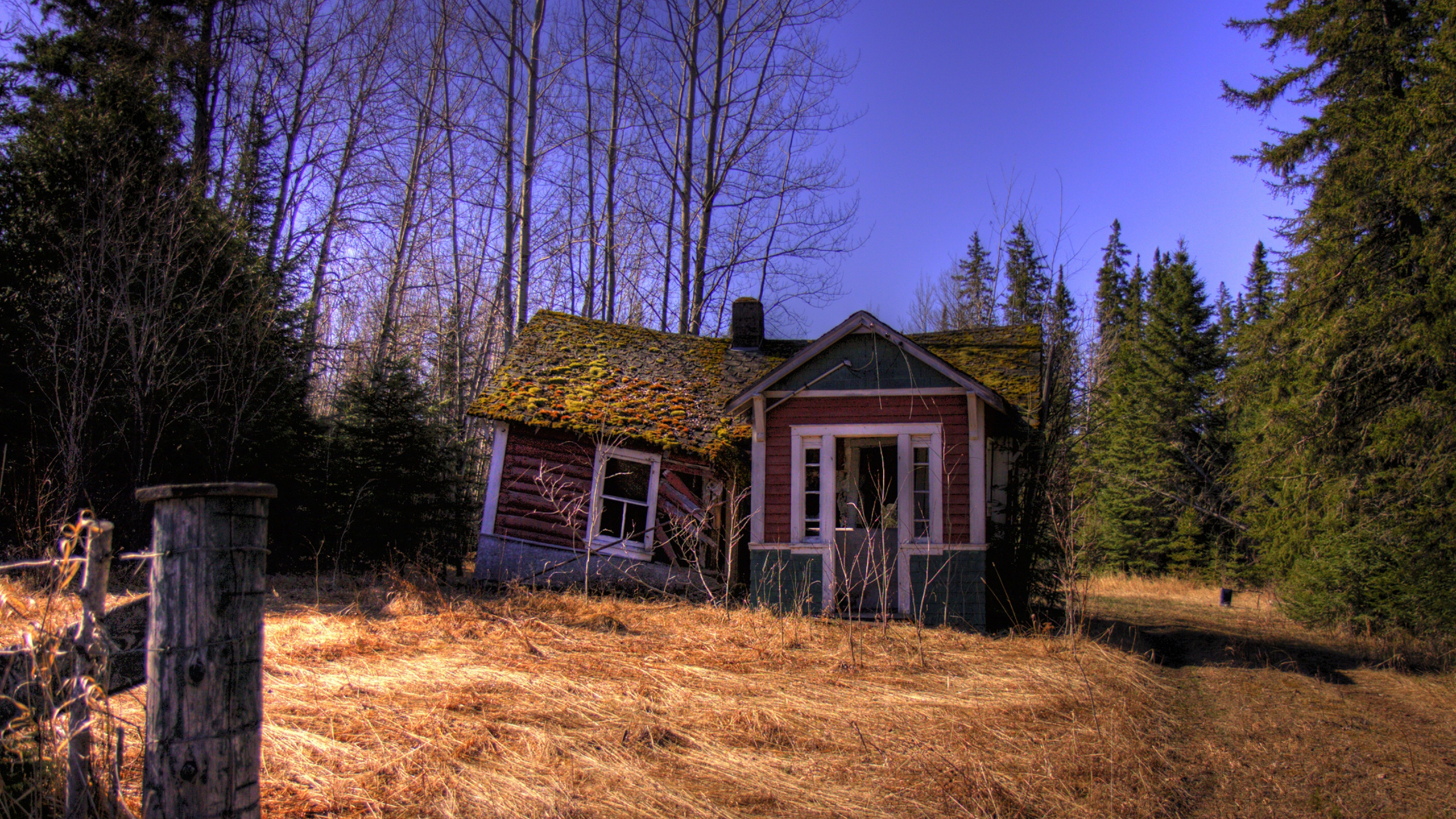 Braunes Holzhaus im Wald. Wallpaper in 2560x1440 Resolution