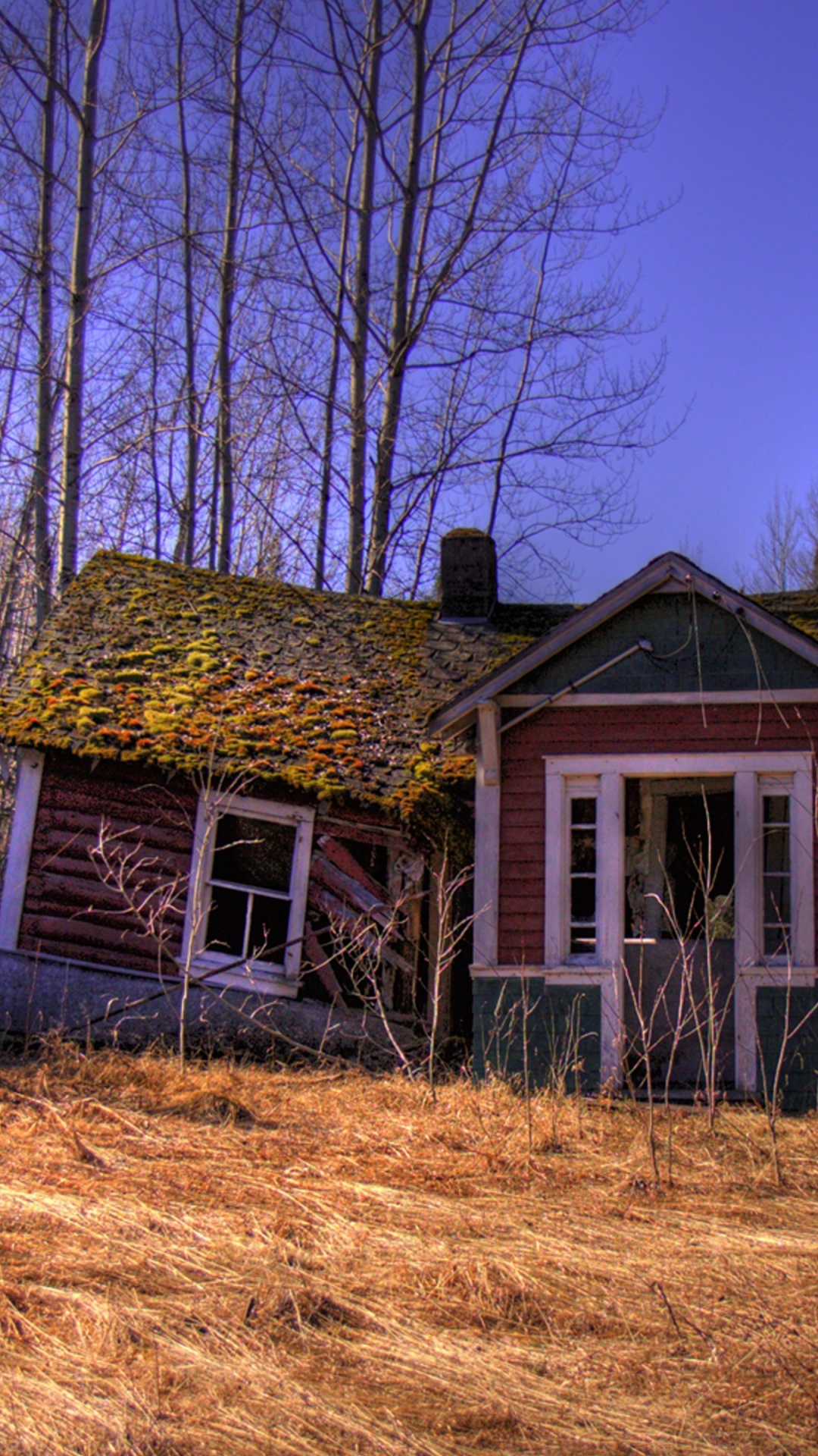 Brown Wooden House in The Woods. Wallpaper in 1080x1920 Resolution