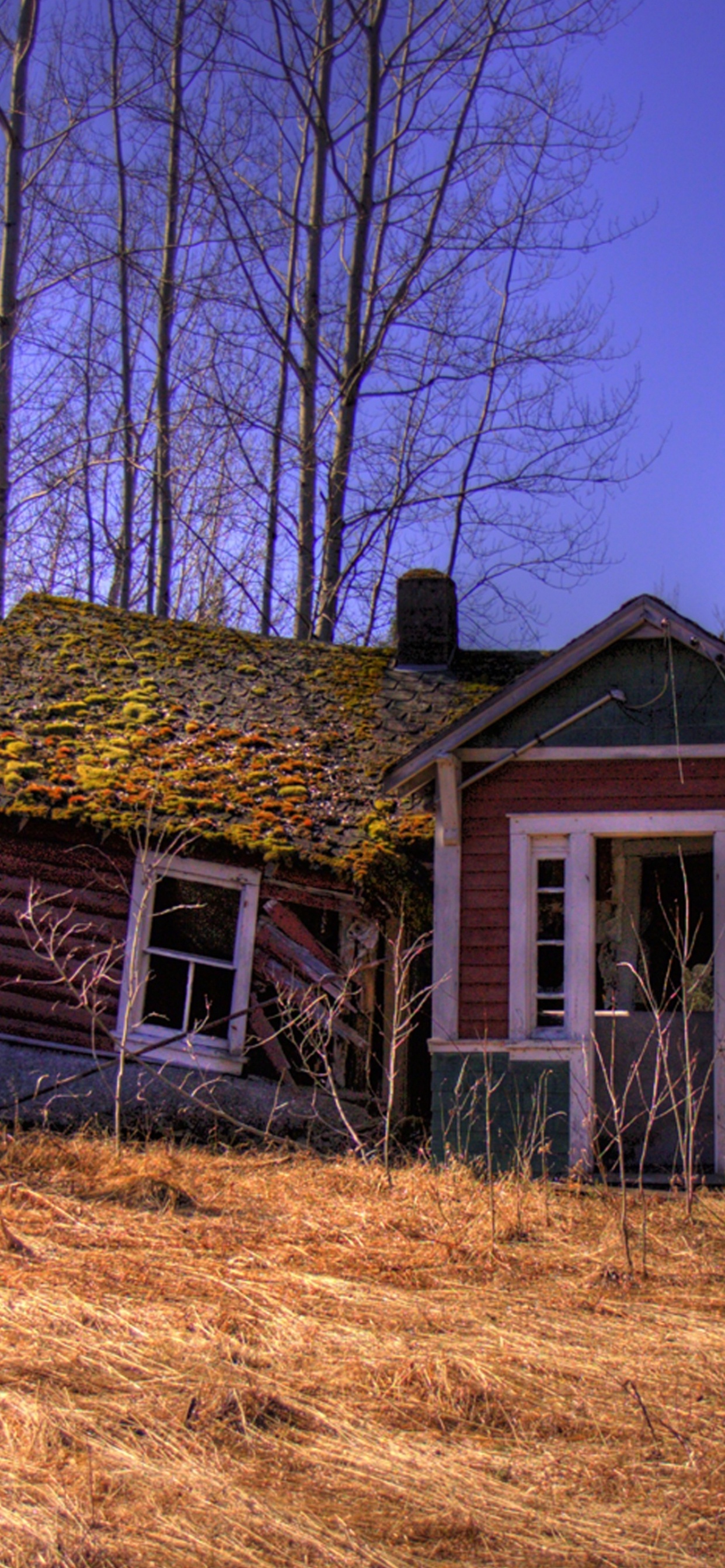 Brown Wooden House in The Woods. Wallpaper in 1242x2688 Resolution