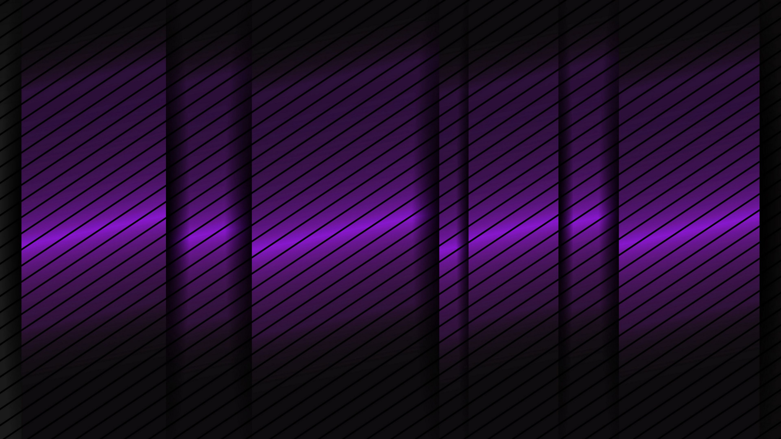 紫色的, 色彩, 紫罗兰色, 矩形, 品红色 壁纸 2560x1440 允许