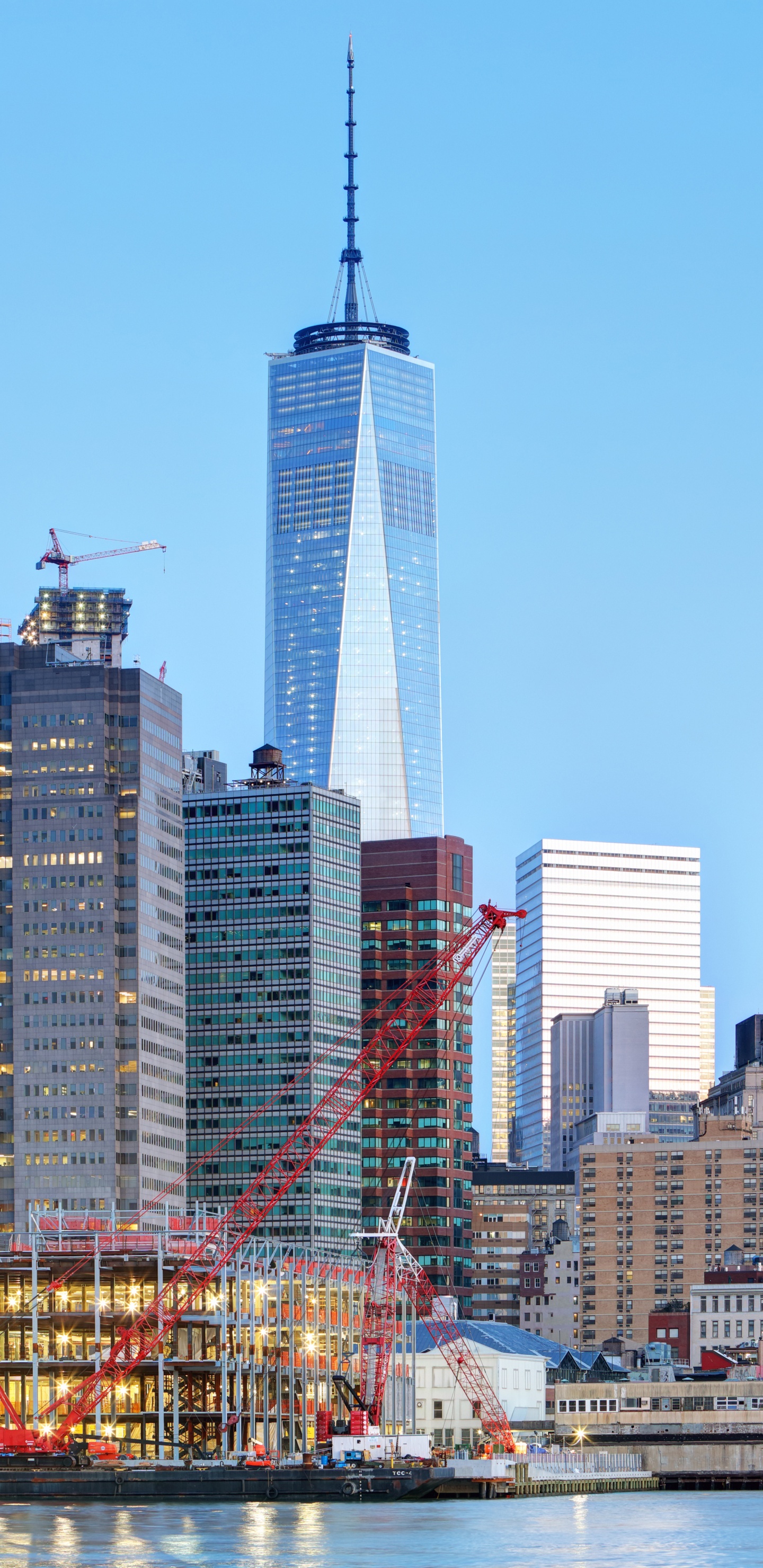 City Skyline During Day Time. Wallpaper in 1440x2960 Resolution