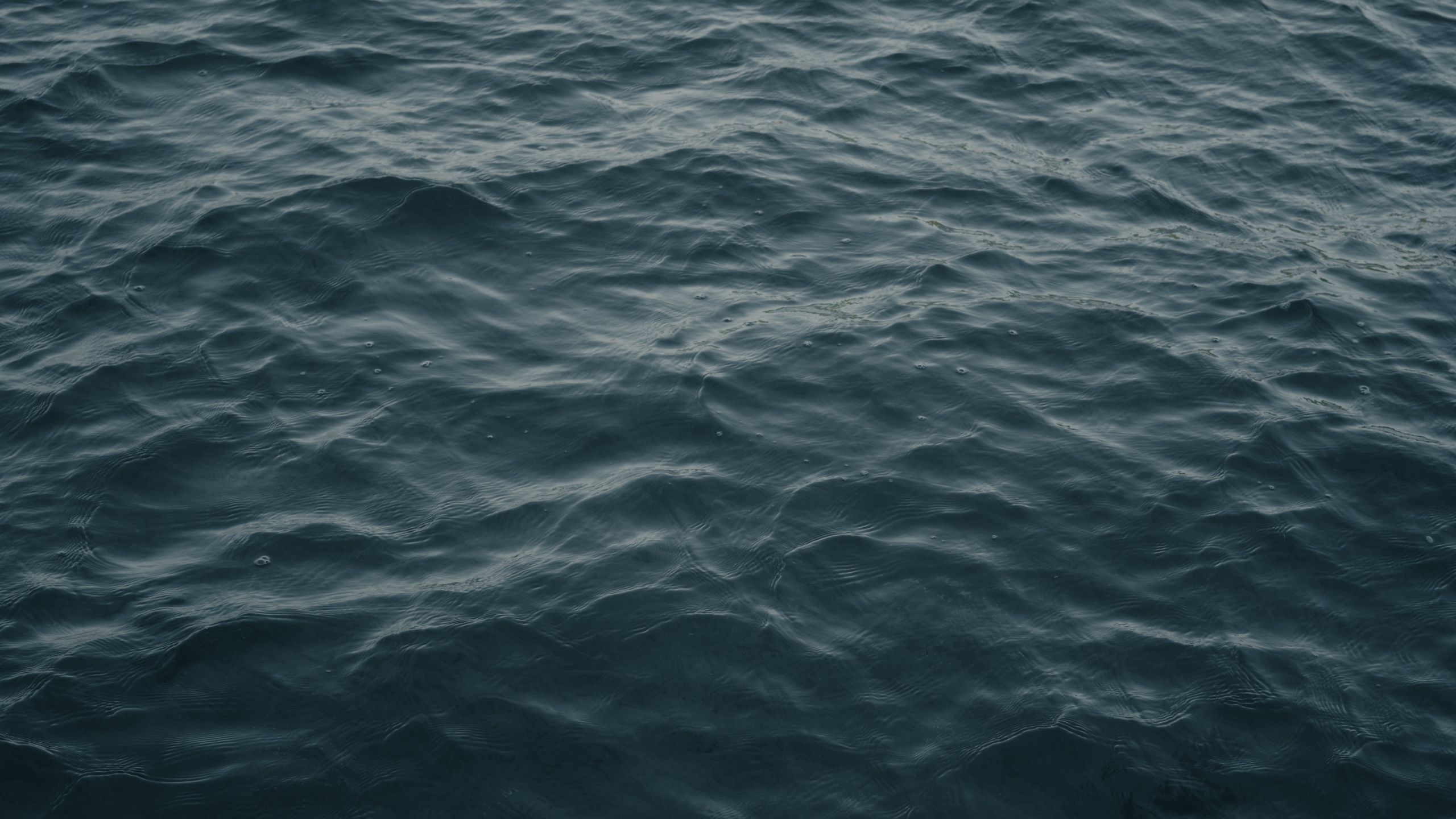 Water, Blue, Sea, Ocean, Wave. Wallpaper in 2560x1440 Resolution