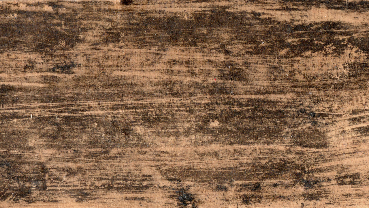 木, 木板, 草, 的土壤 壁纸 1280x720 允许