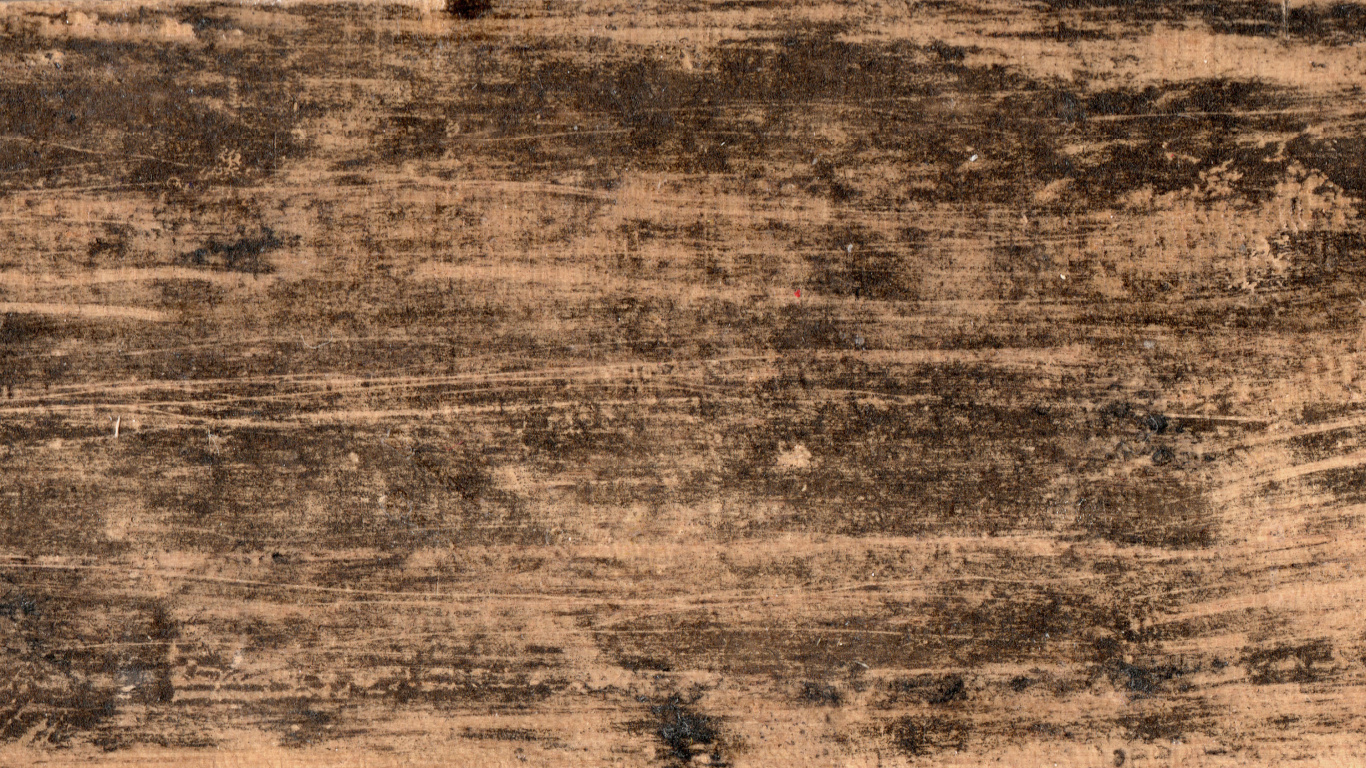 木, 木板, 草, 的土壤 壁纸 1366x768 允许