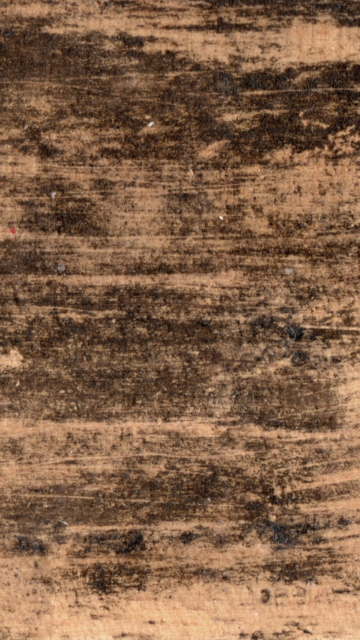 木, 木板, 草, 的土壤 壁纸 720x1280 允许
