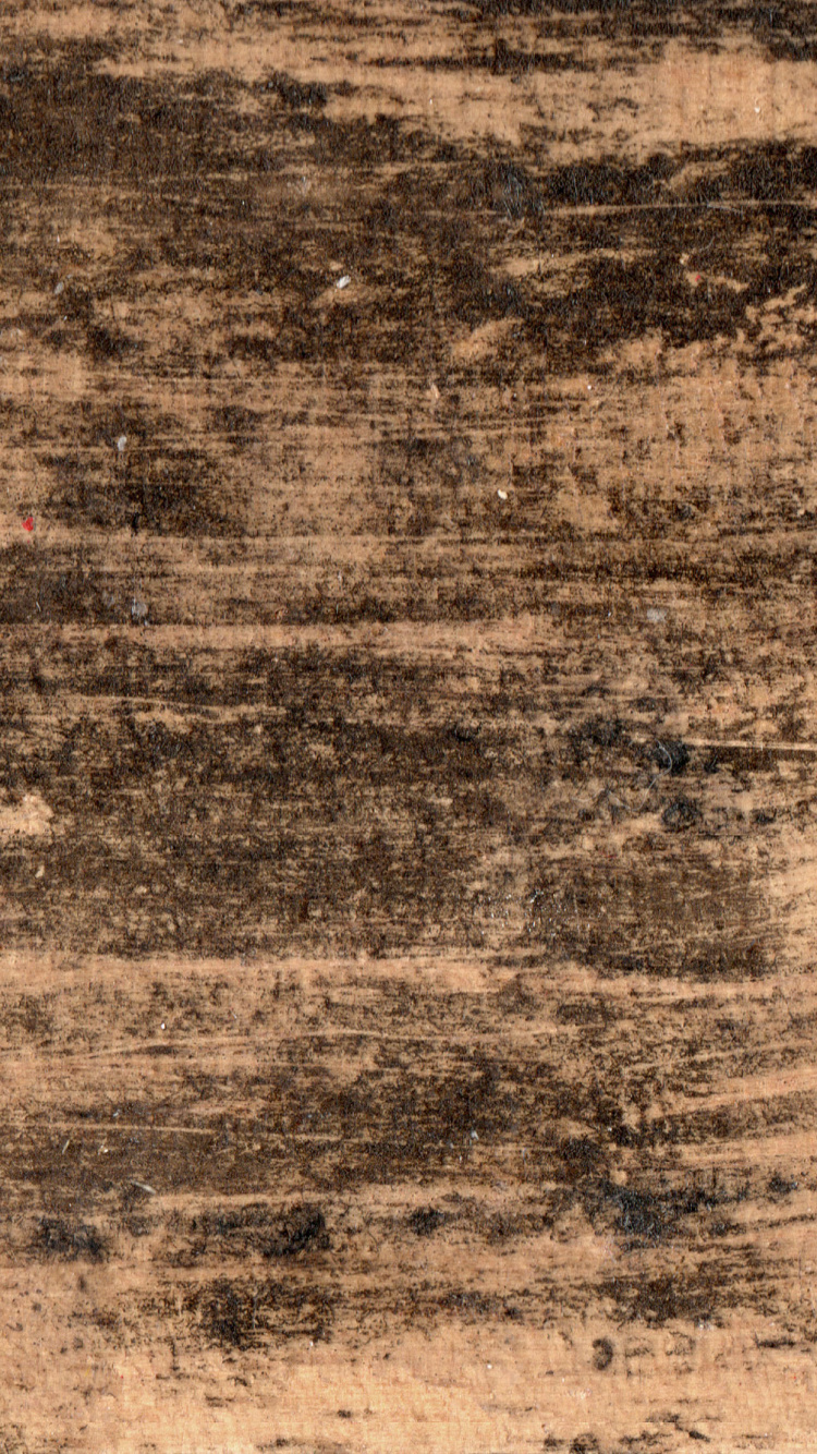 木, 木板, 草, 的土壤 壁纸 750x1334 允许