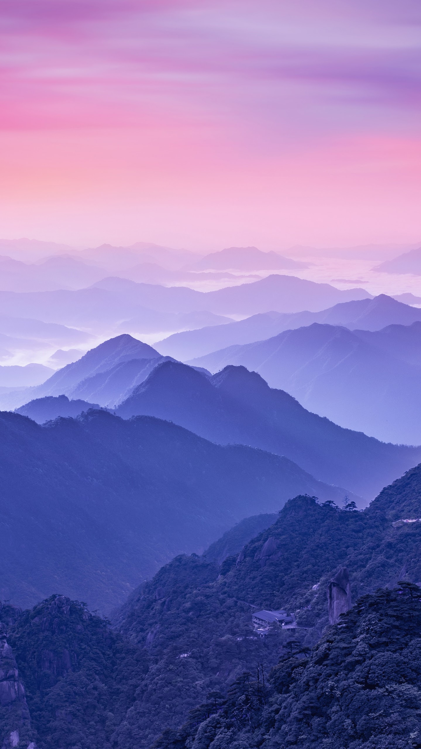 Huawei, Huawei Mate, Huawei Mate 10, Huawei Mate 10 Pro, Huawei P20 Pro. Wallpaper in 1440x2560 Resolution