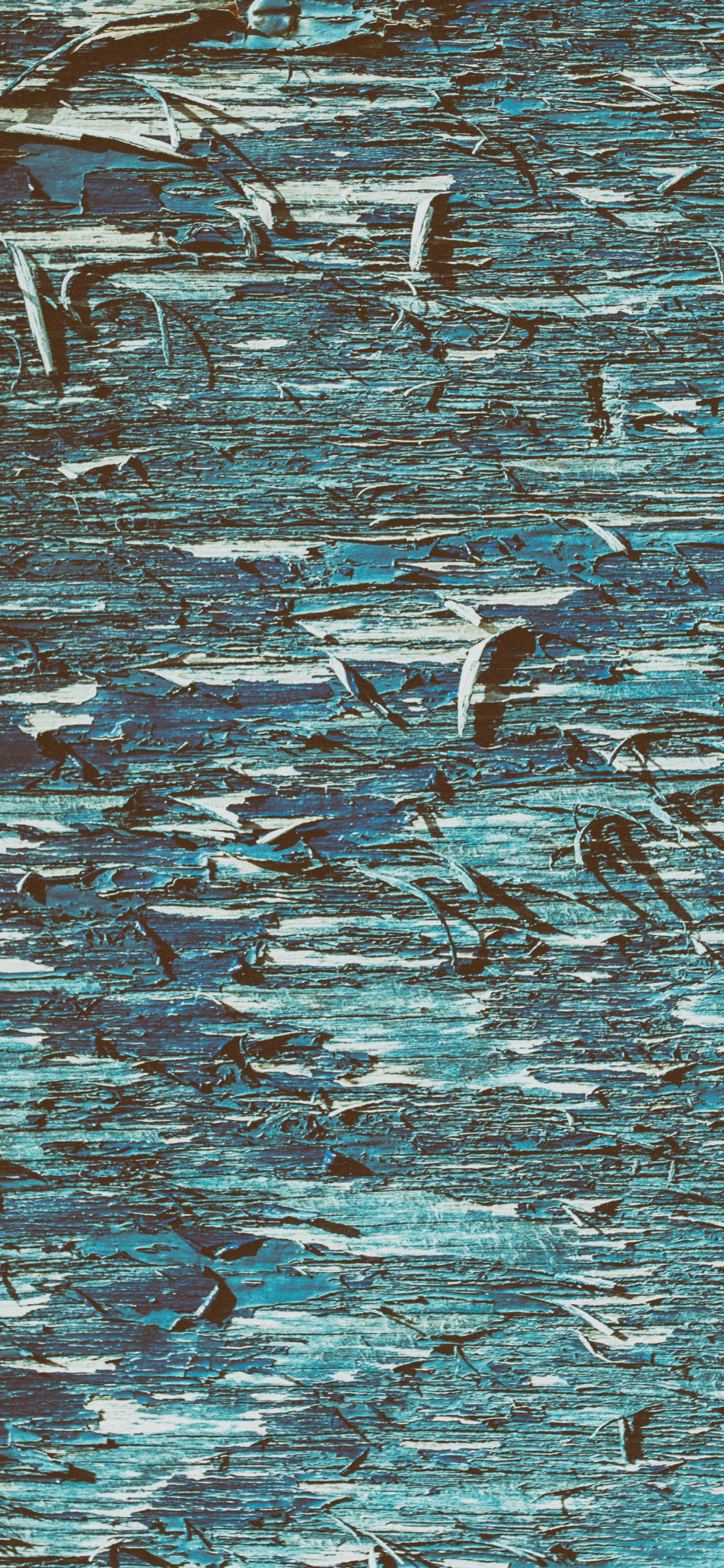 Oiseaux Blancs et Noirs Sur L'eau. Wallpaper in 1125x2436 Resolution