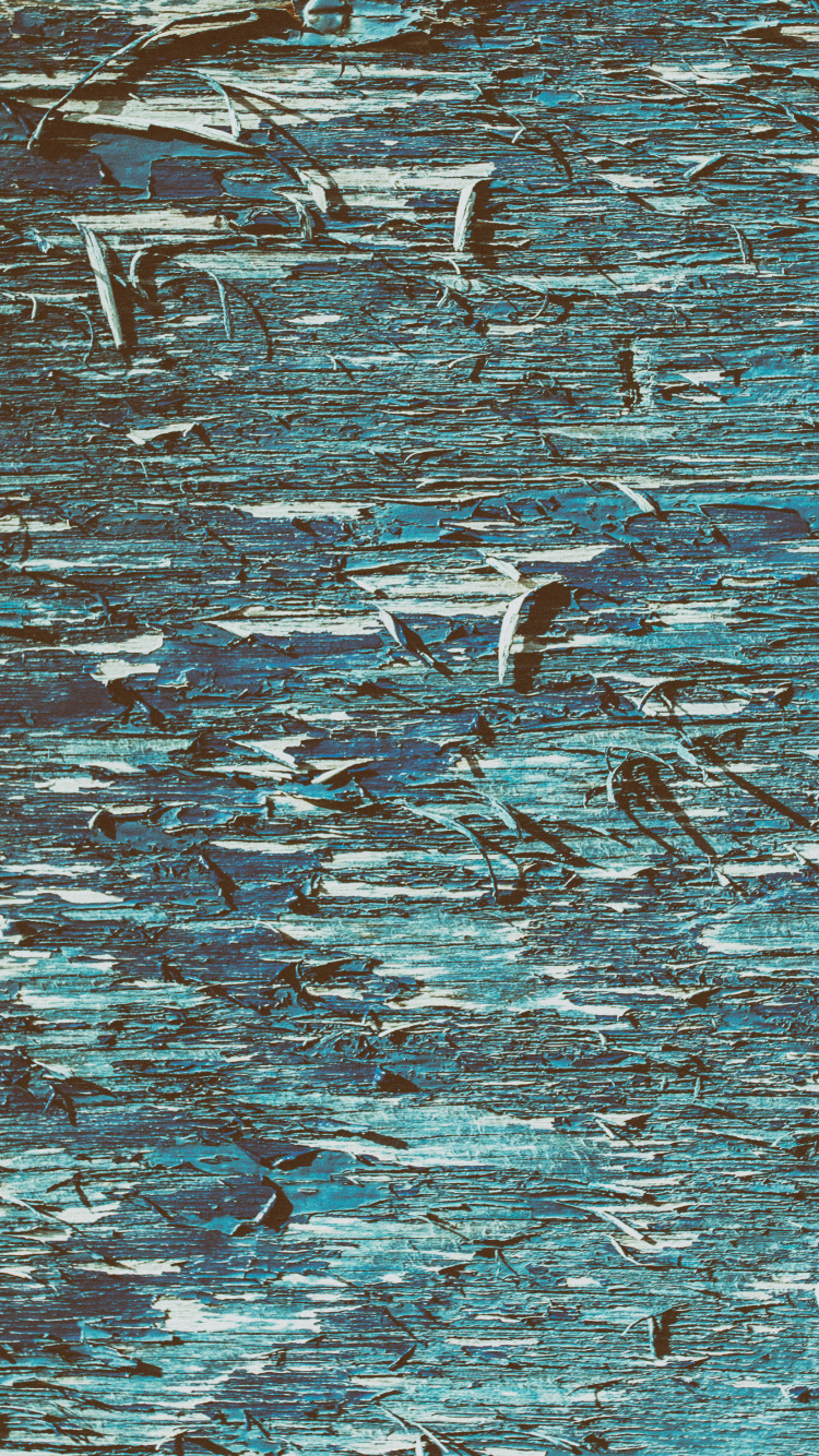 Oiseaux Blancs et Noirs Sur L'eau. Wallpaper in 750x1334 Resolution