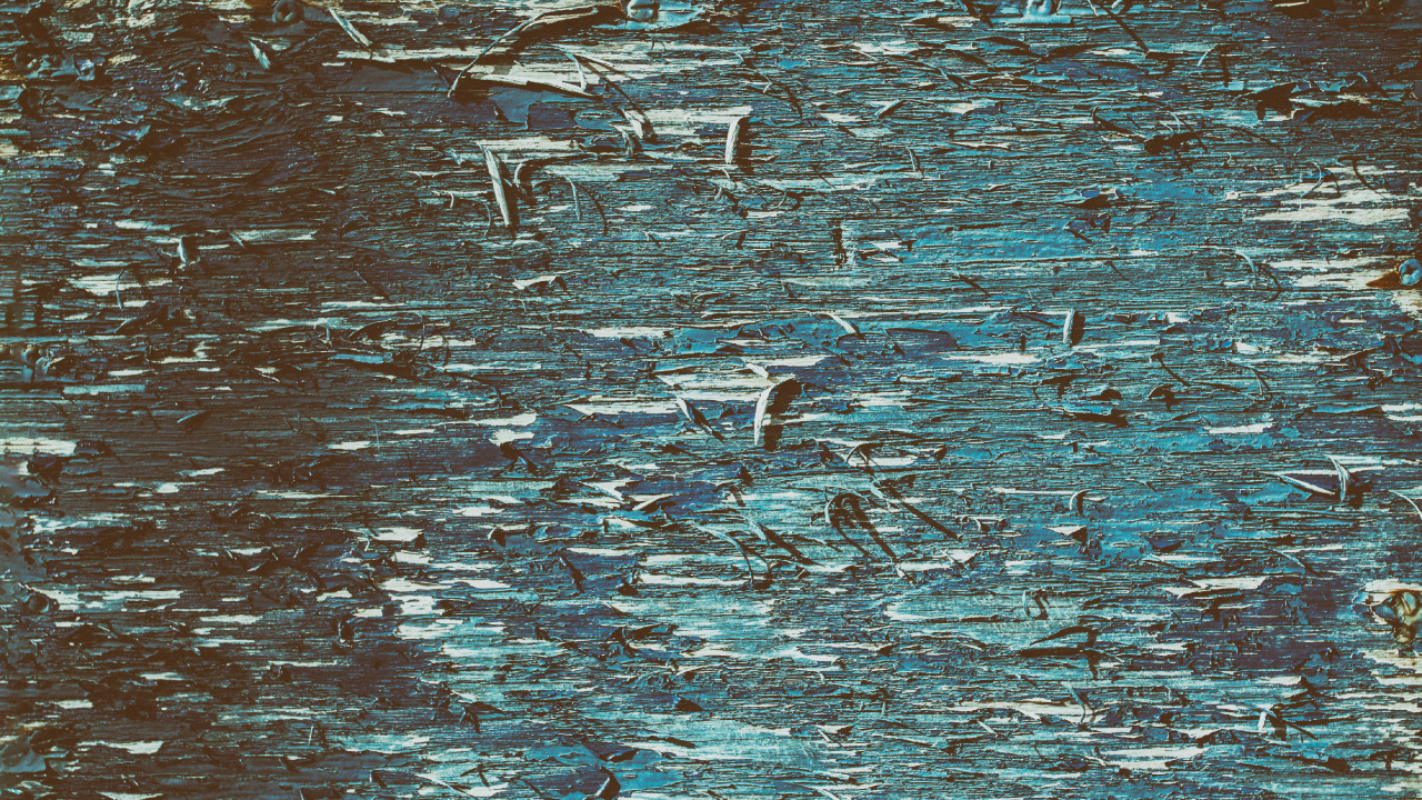 Weiße Und Schwarze Vögel Auf Dem Wasser. Wallpaper in 1280x720 Resolution