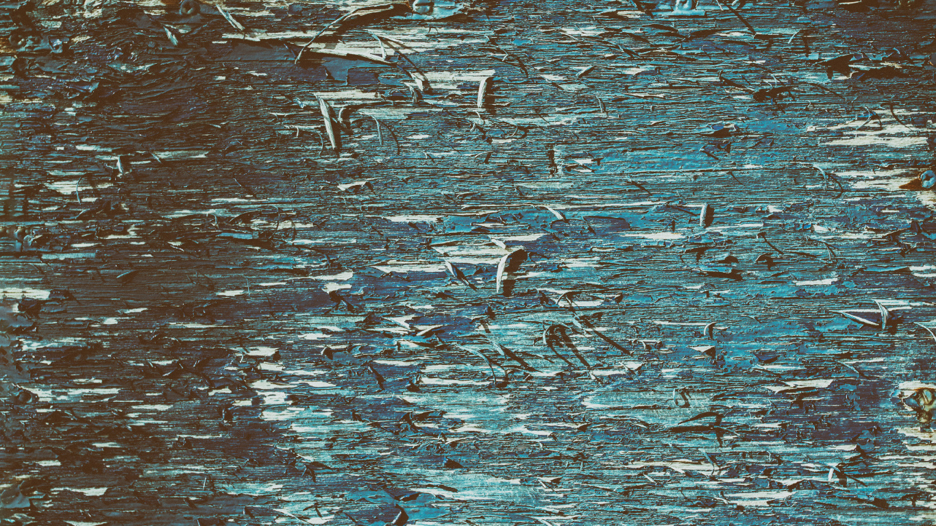 Weiße Und Schwarze Vögel Auf Dem Wasser. Wallpaper in 1366x768 Resolution