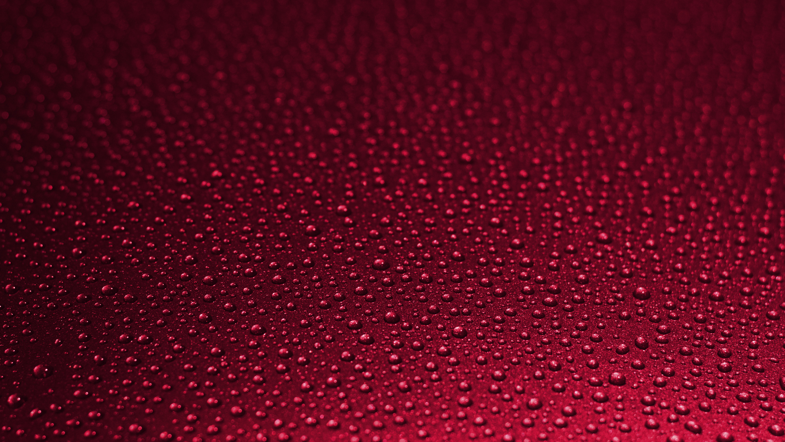 Rot-weiß Gepunktetes Textil. Wallpaper in 2560x1440 Resolution