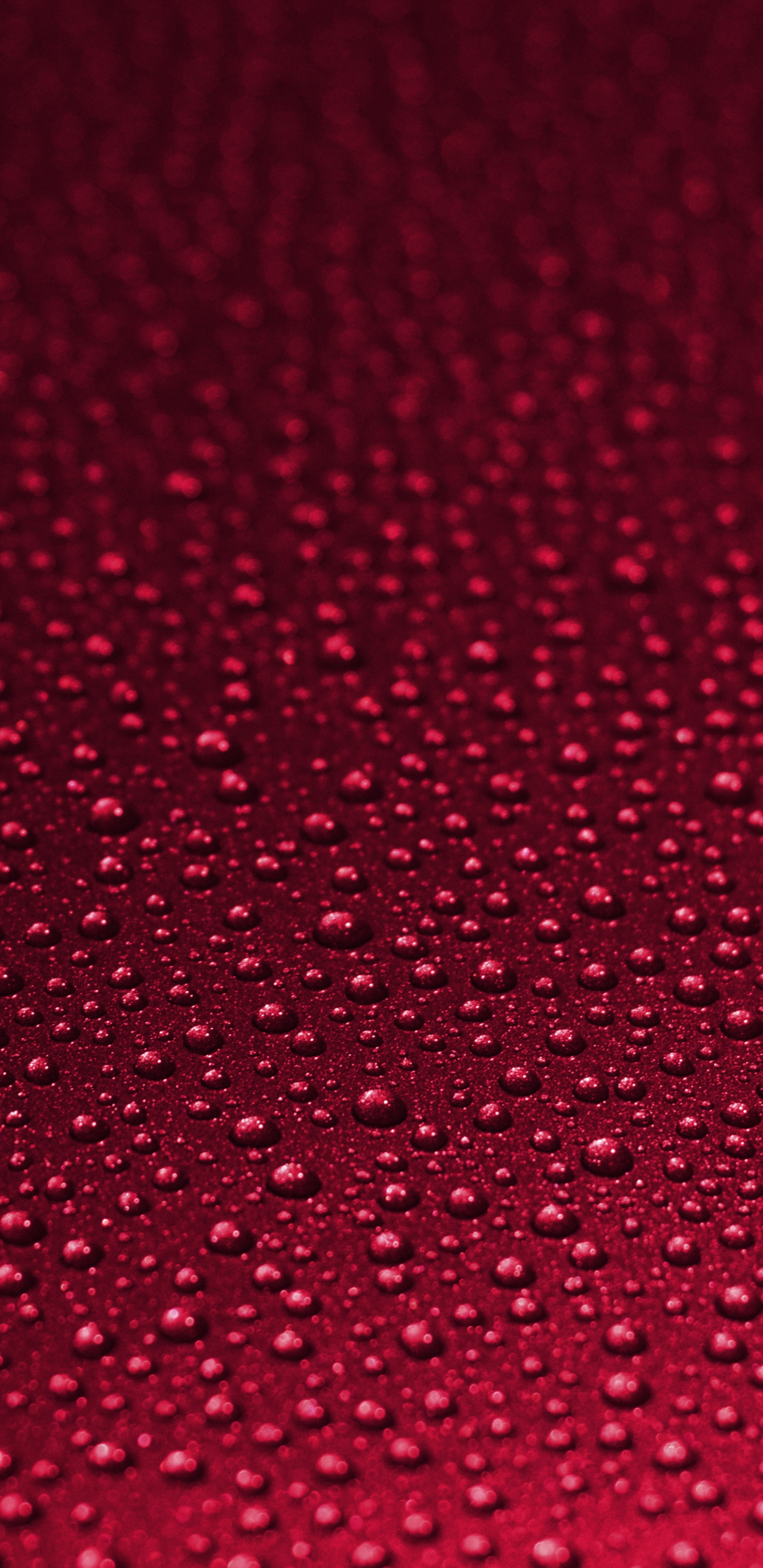 Red and White Polka Dot Textile. Wallpaper in 1440x2960 Resolution