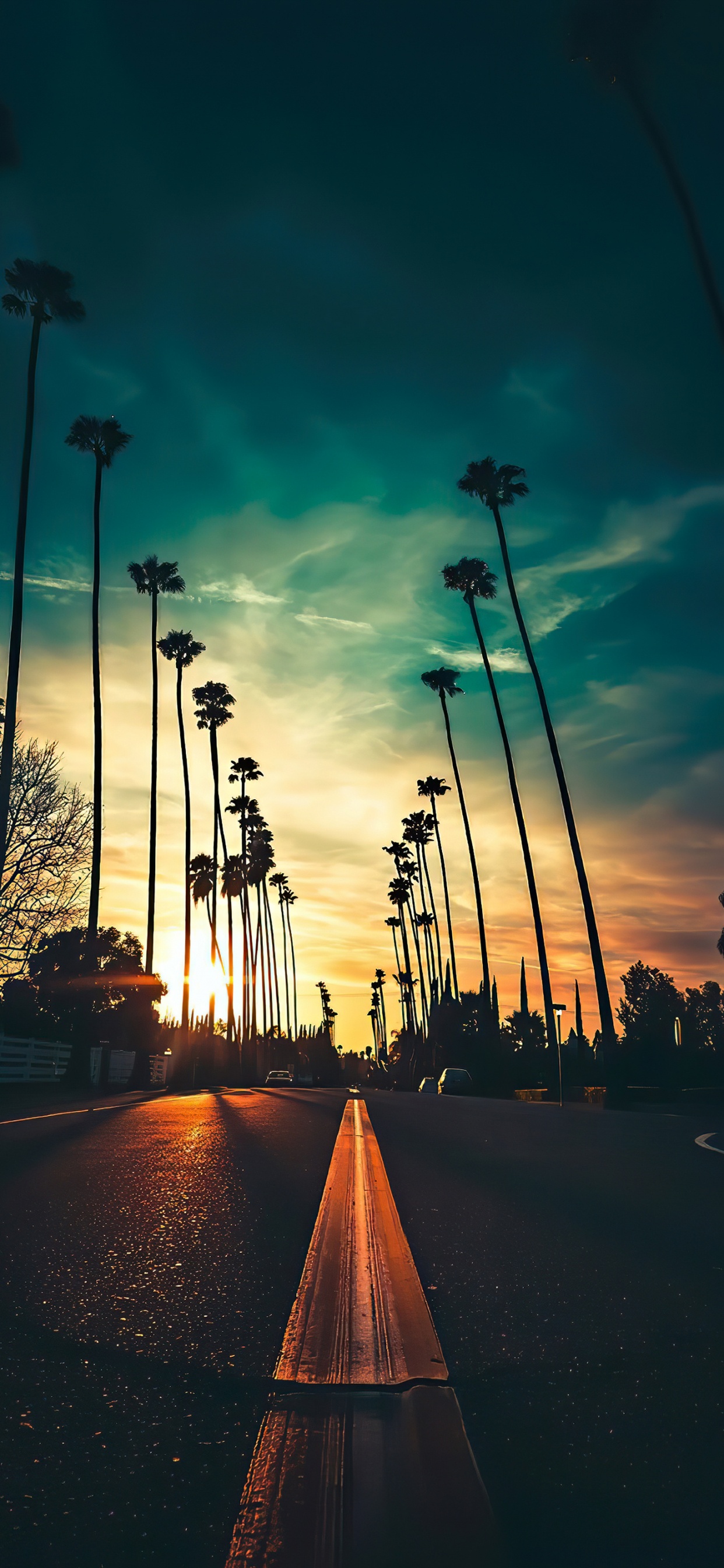 Ambiente, la Luz de Calle, Afterglow, Naturaleza, Infraestructura. Wallpaper in 1242x2688 Resolution