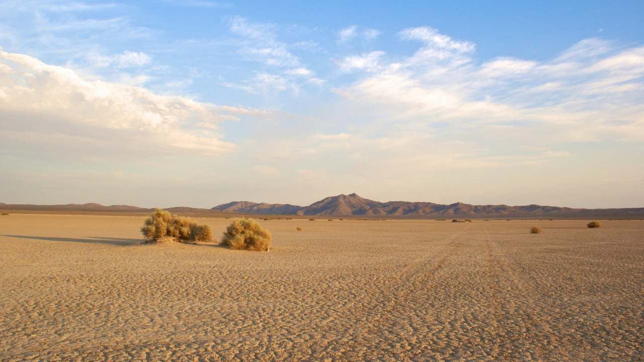 Braunes Feld Unter Blauem Himmel Tagsüber. Wallpaper in 1280x720 Resolution
