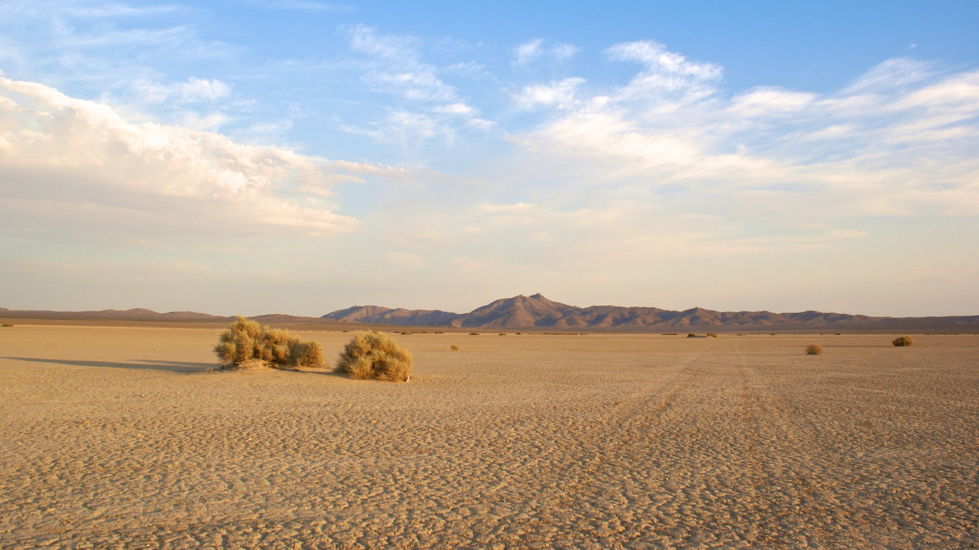 Braunes Feld Unter Blauem Himmel Tagsüber. Wallpaper in 1920x1080 Resolution