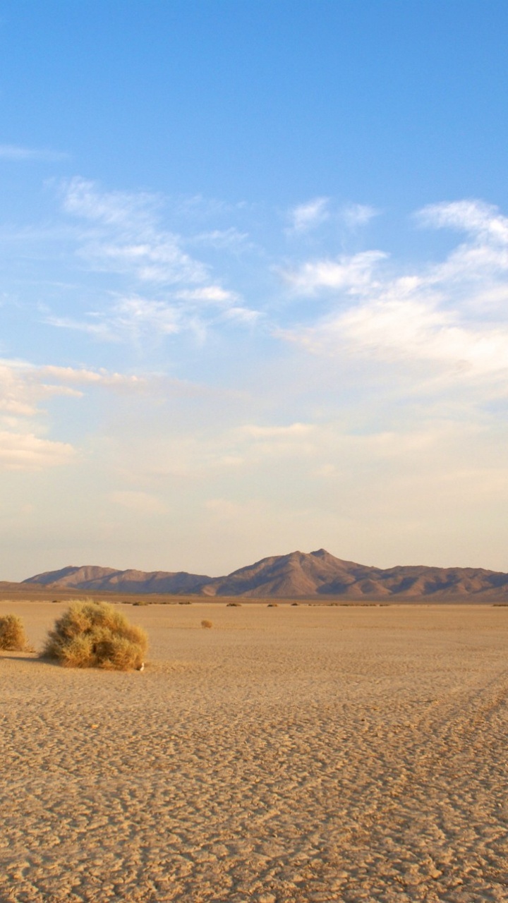 Campo Marrón Bajo un Cielo Azul Durante el Día. Wallpaper in 720x1280 Resolution