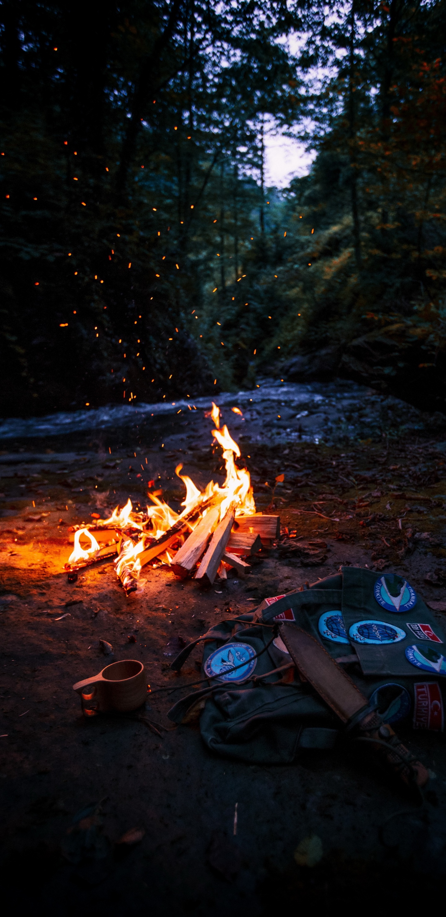 Carpa, Camping, Fogata, la Hoguera, Fuego. Wallpaper in 1440x2960 Resolution