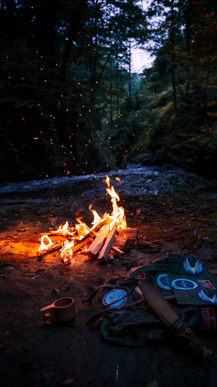 Feu de Camp de Tente, Tente, Camping, Feu de Camp, Bûcher. Wallpaper in 750x1334 Resolution