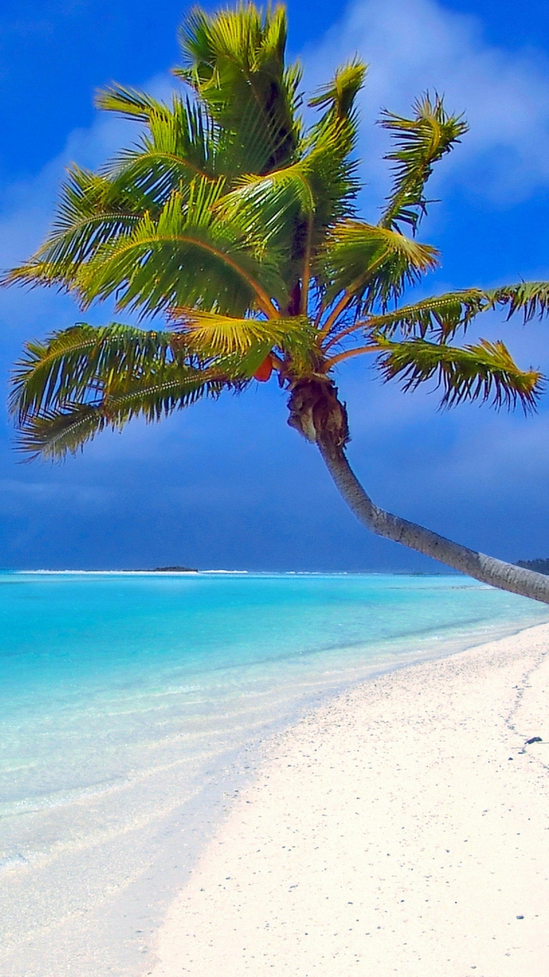 Palm Tree on White Sand Beach During Daytime. Wallpaper in 1080x1920 Resolution