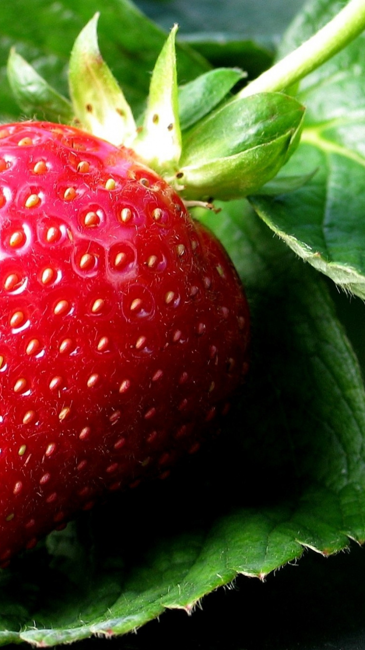 Red Strawberry Fruit on Green Leaves. Wallpaper in 750x1334 Resolution