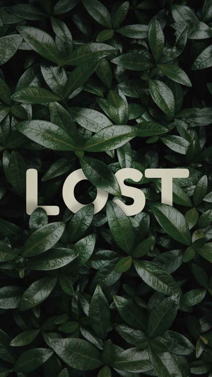 Lost Hintergrund, Plant, Leaf, Botany, Terrestrial Plant. Wallpaper in 720x1280 Resolution
