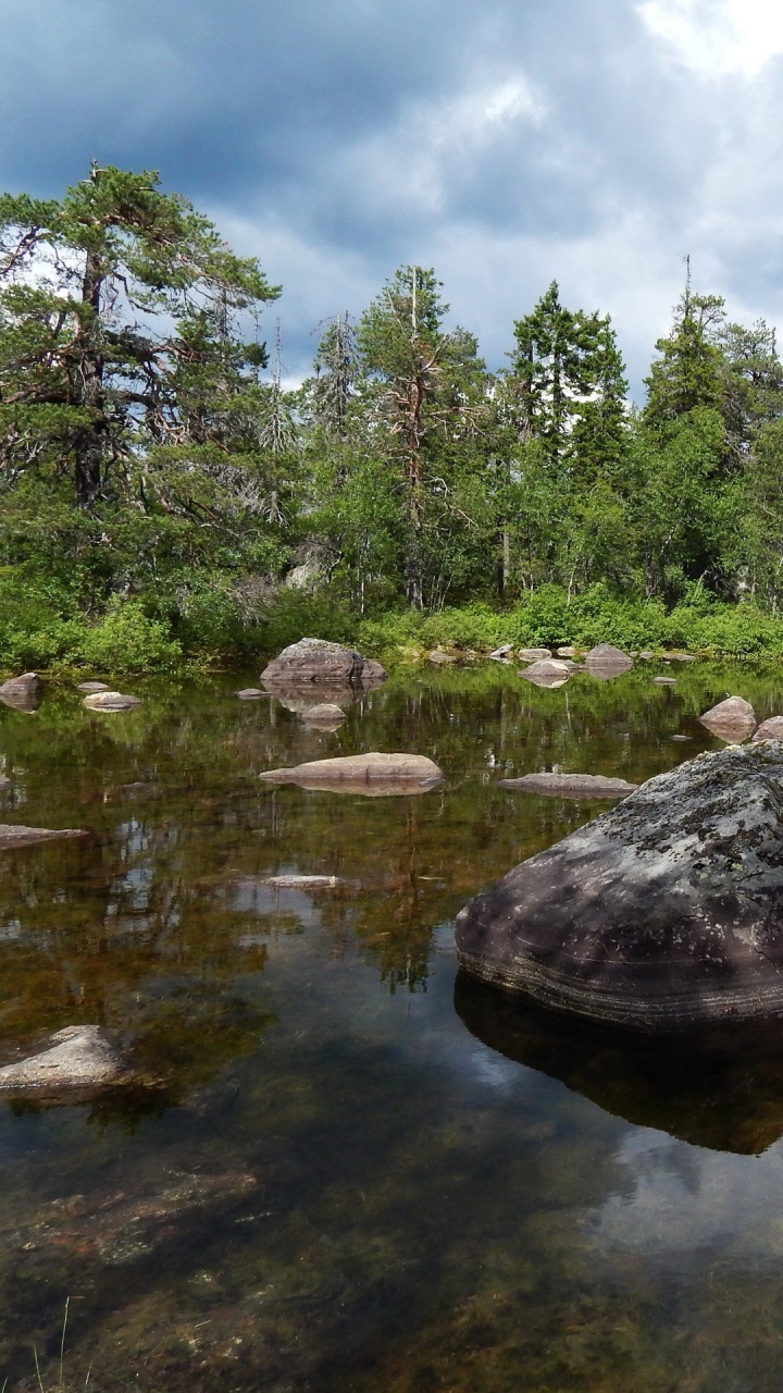 Arbres Verts à Côté de la Rivière Sous un Ciel Nuageux Pendant la Journée. Wallpaper in 720x1280 Resolution