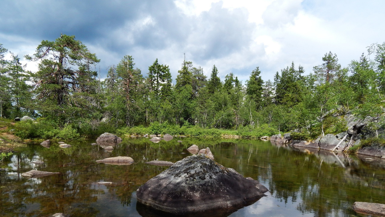 Green Trees Beside River Under Cloudy Sky During Daytime. Wallpaper in 1280x720 Resolution