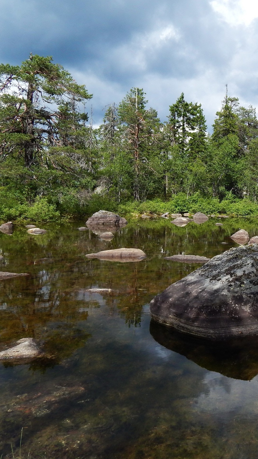 Grüne Bäume Neben Dem Fluss Unter Bewölktem Himmel Tagsüber. Wallpaper in 1080x1920 Resolution