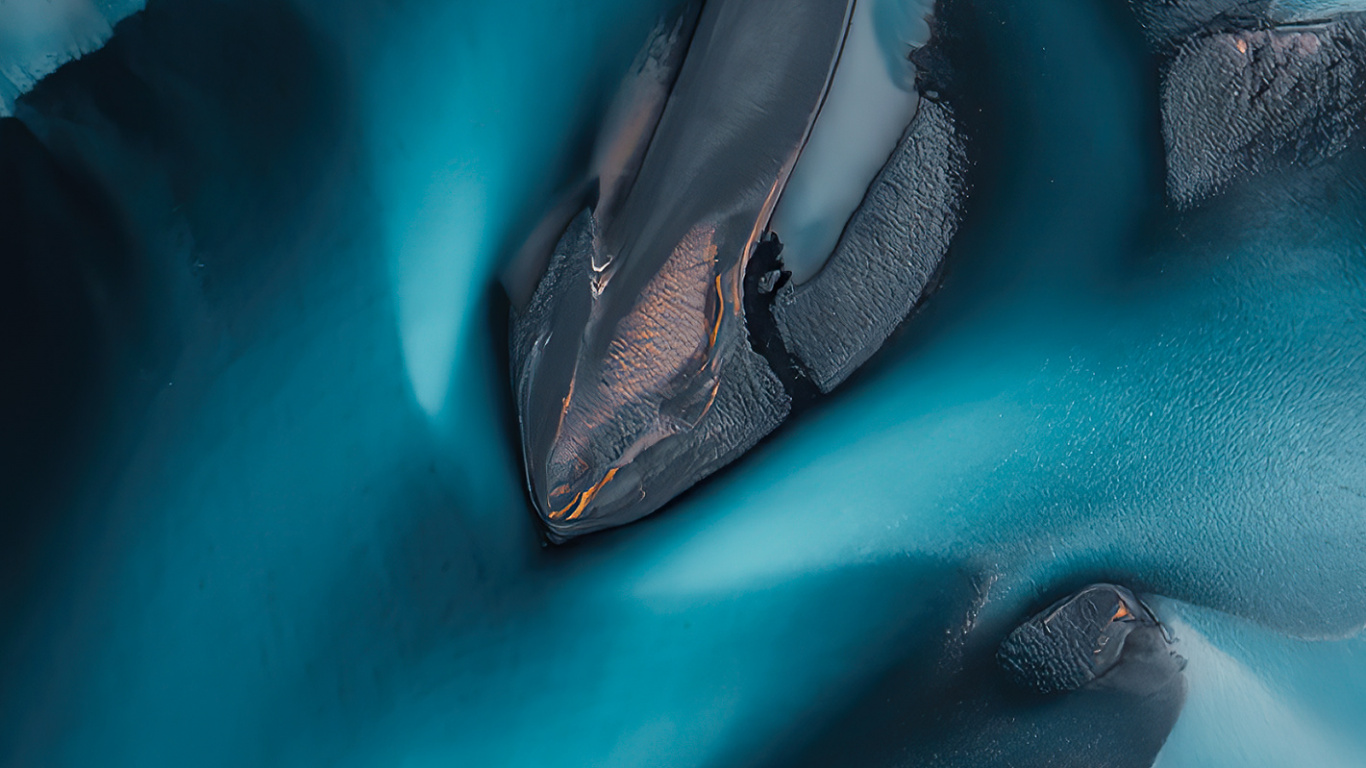 Agua, Delfín Mular Común, Wholphin, Azul, Azure. Wallpaper in 1366x768 Resolution