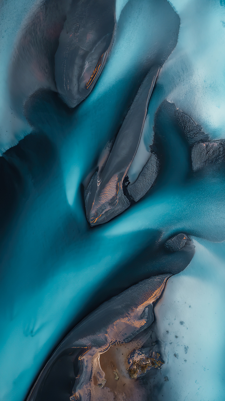 Agua, Delfín Mular Común, Wholphin, Azul, Azure. Wallpaper in 750x1334 Resolution