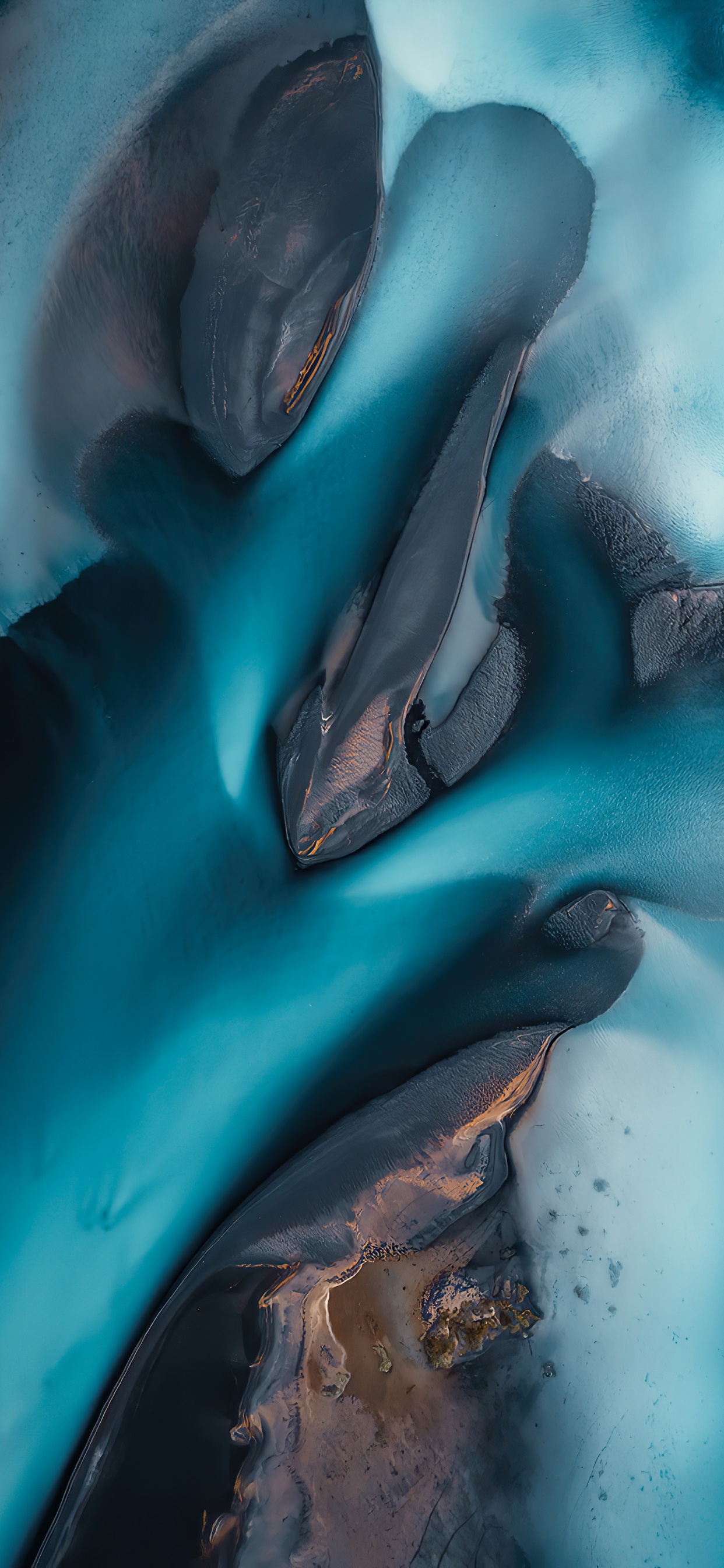 Eau, Grand Dauphin Commun, Wholphin, Blue, Azure. Wallpaper in 1242x2688 Resolution