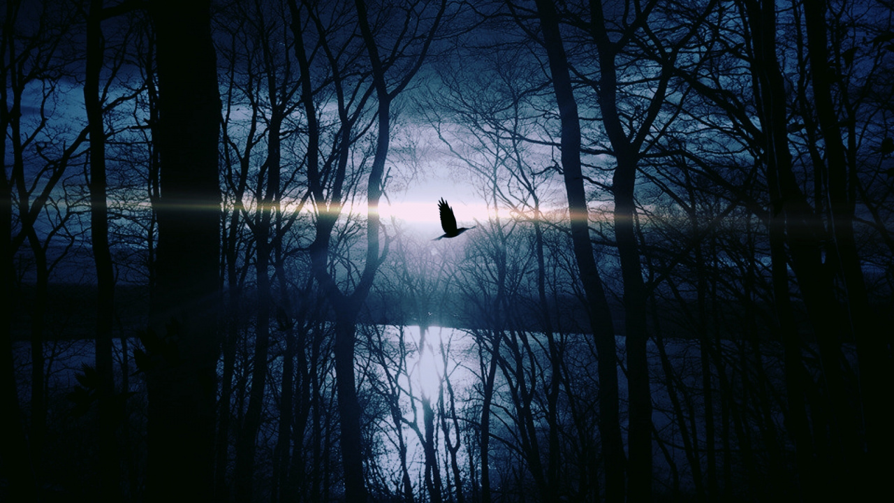 气氛, 自然景观, 光, 天空, 日落 壁纸 1280x720 允许