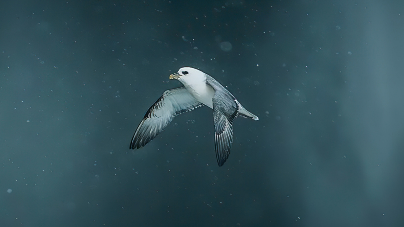 Eau, Terre, Mer, L'atmosphère de la Terre, Biologie. Wallpaper in 1366x768 Resolution