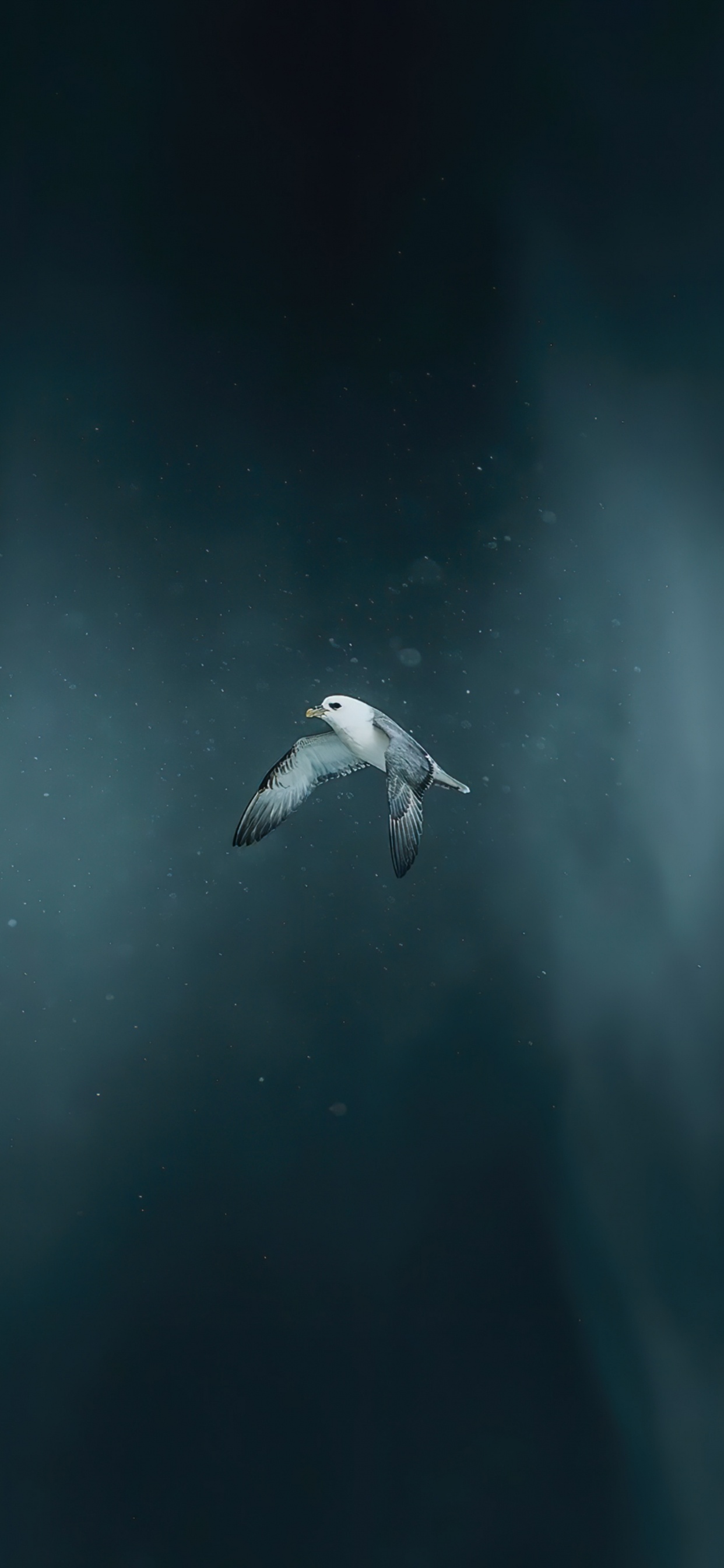 Wasser, Erde, Meer, Die Atmosphäre Der Erde, Biologie. Wallpaper in 1242x2688 Resolution