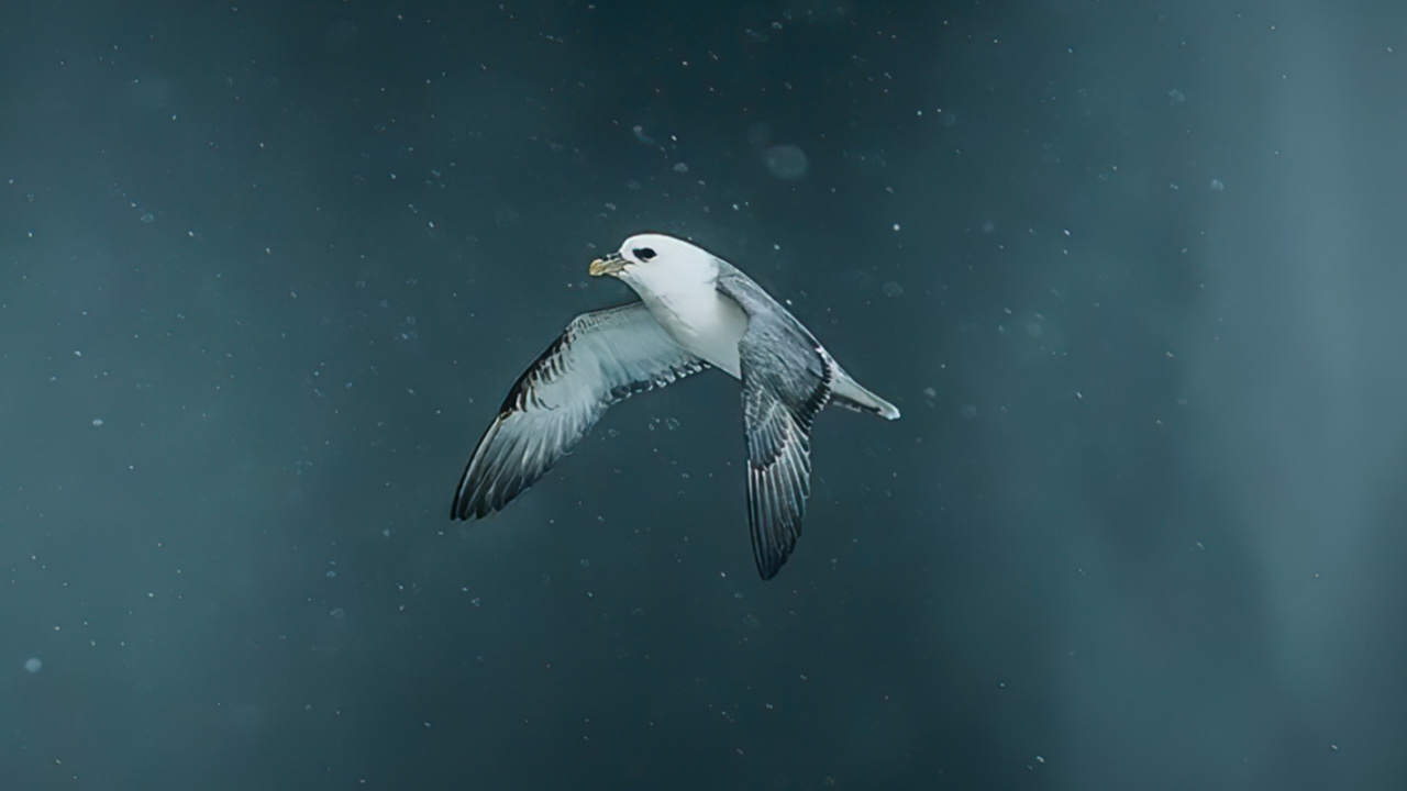 Wasser, Erde, Meer, Die Atmosphäre Der Erde, Biologie. Wallpaper in 1280x720 Resolution